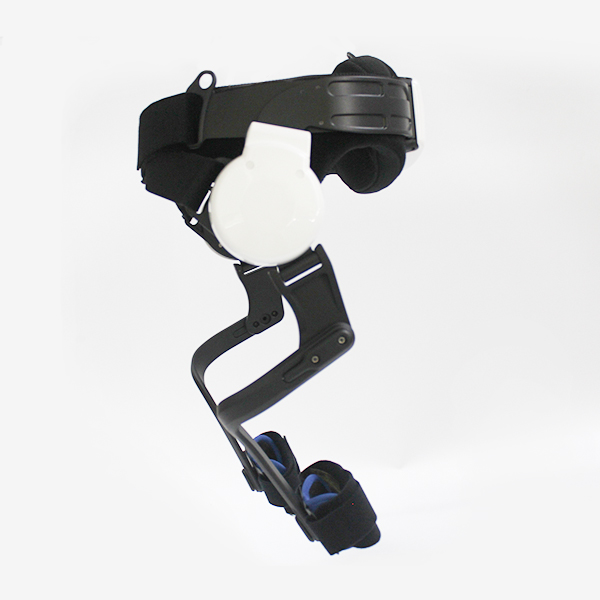 Intelligent walking aid robot